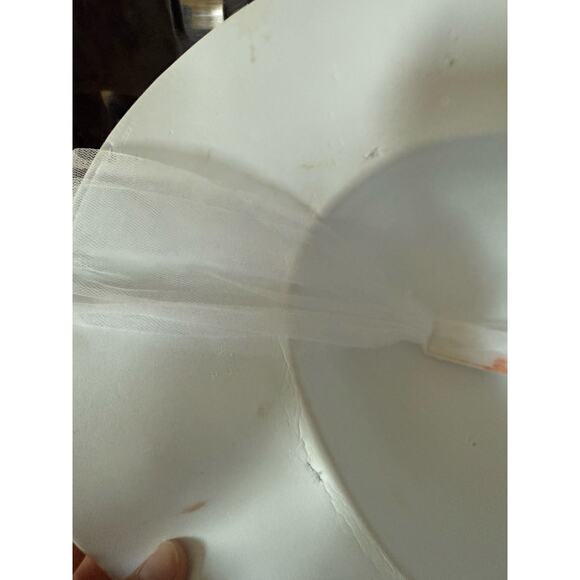 Disney Mary Poppins costume white dres with red roses - Picture 13 of 15